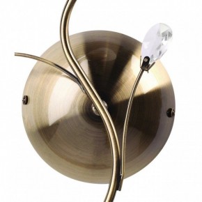 Бра MW-Light Нежность 7 356023001 в Покачах - pokachi.mebel24.online | фото 3