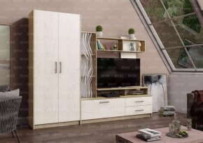 ДАРЬЯ Гостиная (Крафт серый/Крафт белый) в Покачах - pokachi.mebel24.online | фото