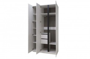 ДЕЛИ 3 Шкаф 3-х створчатый в Покачах - pokachi.mebel24.online | фото 6