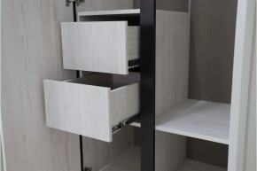 ДЕЛИ 3 Шкаф 3-х створчатый в Покачах - pokachi.mebel24.online | фото 7