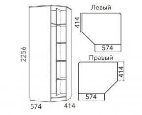 Детская Фанк Шкаф угловой Левый/Правый НМ 013.04-02 М в Покачах - pokachi.mebel24.online | фото 3