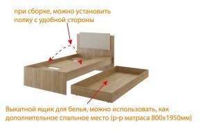 Дуглас подростковая (модульная) в Покачах - pokachi.mebel24.online | фото 5