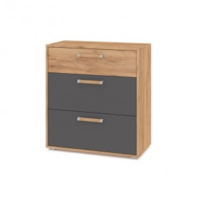 ФЛОРИДА Гостиная (модульная) дуб золотой/графит в Покачах - pokachi.mebel24.online | фото 8