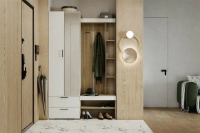 Гарнитур для прихожей Торонто в Покачах - pokachi.mebel24.online | фото 5