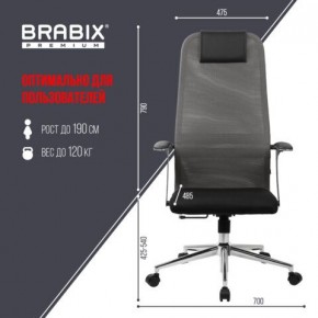 Кресло офисное BRABIX PREMIUM "Ultimate EX-801" хром, плотная двойная сетка Х2, черное/серое, 532918 в Покачах - pokachi.mebel24.online | фото 5