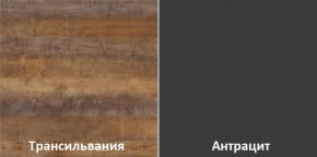 Кухонный гарнитур угловой Трансильвания 2400x1600 мм (Стол. 38 мм) в Покачах - pokachi.mebel24.online | фото 3