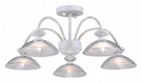 Люстра на штанге Arti Lampadari Noventa Noventa E 1.1.5 W в Покачах - pokachi.mebel24.online | фото