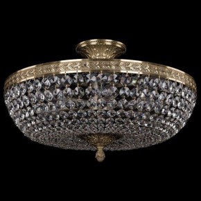 Люстра на штанге Bohemia Ivele Crystal 1911 19111/45IV Pa в Покачах - pokachi.mebel24.online | фото 2