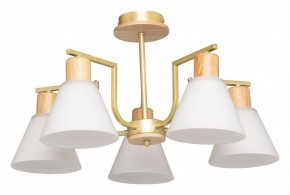 Люстра на штанге De City Дэла 45 635016505 в Покачах - pokachi.mebel24.online | фото