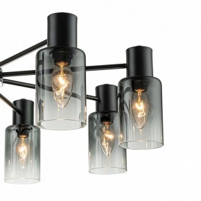 Люстра на штанге Escada Diversity 2120/8P Black в Покачах - pokachi.mebel24.online | фото 5