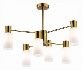 Люстра на штанге EVOLUCE Gessi SLE1139-302-06 в Покачах - pokachi.mebel24.online | фото 2