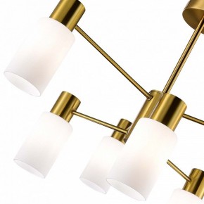 Люстра на штанге EVOLUCE Gessi SLE1139-302-06 в Покачах - pokachi.mebel24.online | фото 3