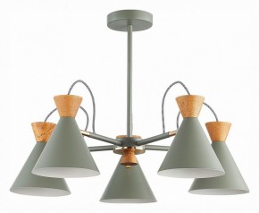 Люстра на штанге EVOLUCE Modica SLE125112-05 в Покачах - pokachi.mebel24.online | фото 1