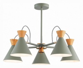Люстра на штанге EVOLUCE Modica SLE125112-05 в Покачах - pokachi.mebel24.online | фото 2
