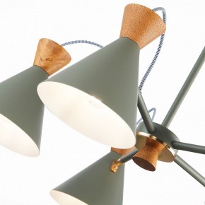 Люстра на штанге EVOLUCE Modica SLE125112-05 в Покачах - pokachi.mebel24.online | фото 3