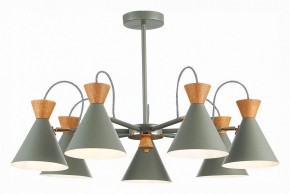 Люстра на штанге EVOLUCE Modica SLE125112-07 в Покачах - pokachi.mebel24.online | фото 2