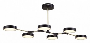 Люстра на штанге EVOLUCE Monta SLE6004-402-06 в Покачах - pokachi.mebel24.online | фото 4