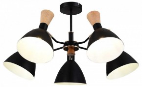 Люстра на штанге EVOLUCE VISTA SLE1256-402-05 в Покачах - pokachi.mebel24.online | фото 6