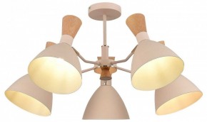 Люстра на штанге EVOLUCE VISTA SLE1256-502-05 в Покачах - pokachi.mebel24.online | фото 6