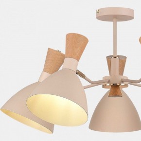 Люстра на штанге EVOLUCE VISTA SLE1256-502-05 в Покачах - pokachi.mebel24.online | фото 9