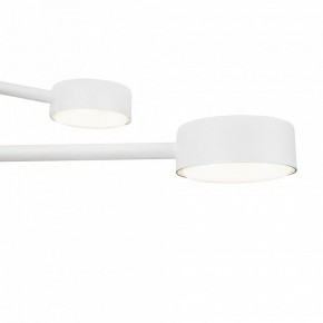 Люстра на штанге Freya Tactic FR5363CL-06W в Покачах - pokachi.mebel24.online | фото 6