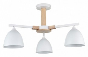 Люстра на штанге Lumion Colange 8095/3C в Покачах - pokachi.mebel24.online | фото