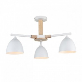 Люстра на штанге Lumion Colange 8095/3C в Покачах - pokachi.mebel24.online | фото 2