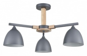 Люстра на штанге Lumion Colange 8096/3C в Покачах - pokachi.mebel24.online | фото