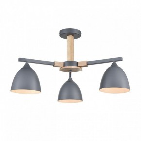 Люстра на штанге Lumion Colange 8096/3C в Покачах - pokachi.mebel24.online | фото 2