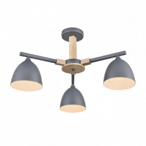 Люстра на штанге Lumion Colange 8096/3C в Покачах - pokachi.mebel24.online | фото 3
