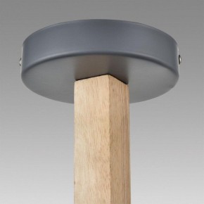Люстра на штанге Lumion Colange 8096/3C в Покачах - pokachi.mebel24.online | фото 9