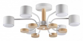 Люстра на штанге Lumion Rondo 8231/6C в Покачах - pokachi.mebel24.online | фото