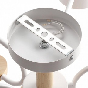 Люстра на штанге Lumion Rondo 8231/6C в Покачах - pokachi.mebel24.online | фото 6