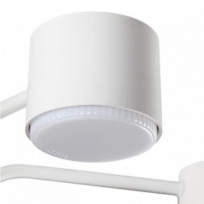 Люстра на штанге Lumion Rondo 8231/6C в Покачах - pokachi.mebel24.online | фото 7