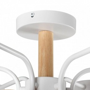 Люстра на штанге Lumion Rondo 8231/6C в Покачах - pokachi.mebel24.online | фото 8