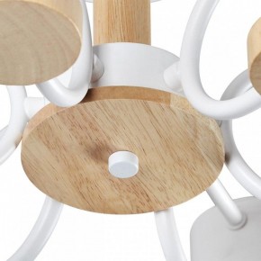 Люстра на штанге Lumion Rondo 8231/6C в Покачах - pokachi.mebel24.online | фото 9
