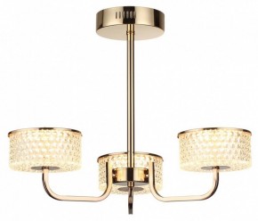 Люстра на штанге Lumion Venice 6579/40CL в Покачах - pokachi.mebel24.online | фото 5