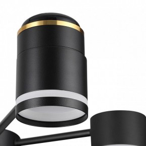 Люстра на штанге Lumion Virsava 8234/6C в Покачах - pokachi.mebel24.online | фото 8