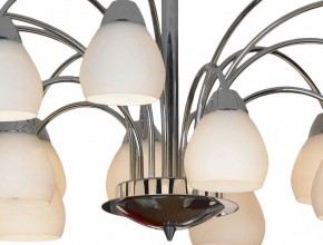 Люстра на штанге Lussole Apiro GRLSF-2403-15 в Покачах - pokachi.mebel24.online | фото 12