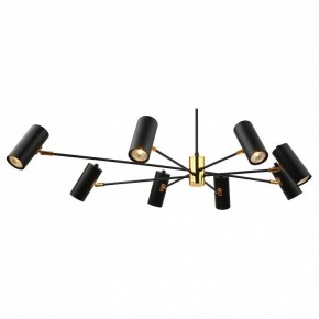 Люстра на штанге Lussole Duncan LSP-8252 в Покачах - pokachi.mebel24.online | фото 2