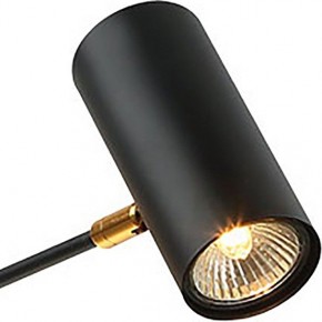 Люстра на штанге Lussole Duncan LSP-8252 в Покачах - pokachi.mebel24.online | фото 3