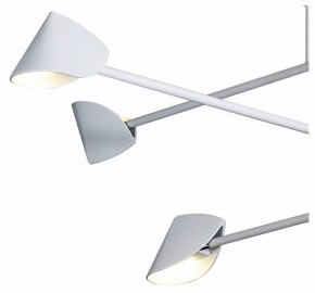 Люстра на штанге Mantra Capuccina 7570 в Покачах - pokachi.mebel24.online | фото 4