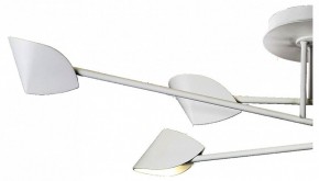 Люстра на штанге Mantra Capuccina 7572 в Покачах - pokachi.mebel24.online | фото 2
