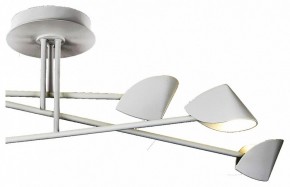 Люстра на штанге Mantra Capuccina 7572 в Покачах - pokachi.mebel24.online | фото 3