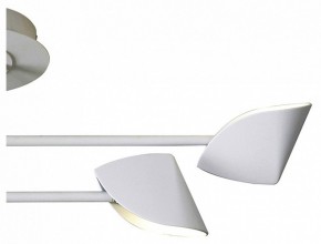 Люстра на штанге Mantra Capuccina 7574 в Покачах - pokachi.mebel24.online | фото 3