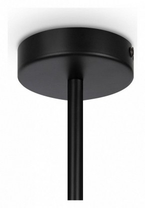 Люстра на штанге Maytoni Memory MOD177PL-04B в Покачах - pokachi.mebel24.online | фото 4