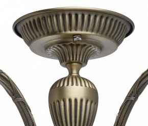 Люстра на штанге MW-Light Аманда 6 481011805 в Покачах - pokachi.mebel24.online | фото 10