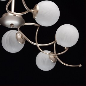 Люстра на штанге MW-Light Оливия 5 306012709 в Покачах - pokachi.mebel24.online | фото 10