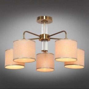 Люстра на штанге Omnilux Barumini OML-56907-05 в Покачах - pokachi.mebel24.online | фото 2