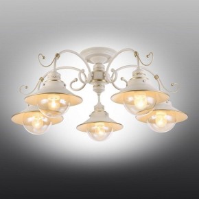 Люстра на штанге Omnilux Torri OML-50807-05 в Покачах - pokachi.mebel24.online | фото 2
